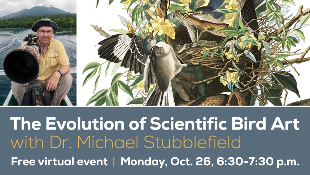 The Evolution of Scientific Bird Art with Dr. Michael Stubblefield ...