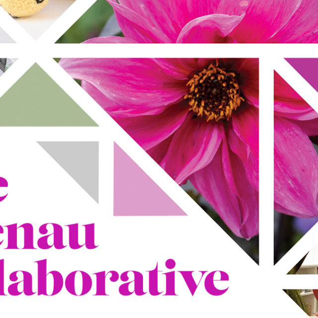 Brenau Galleries Brenau University Art Galleries