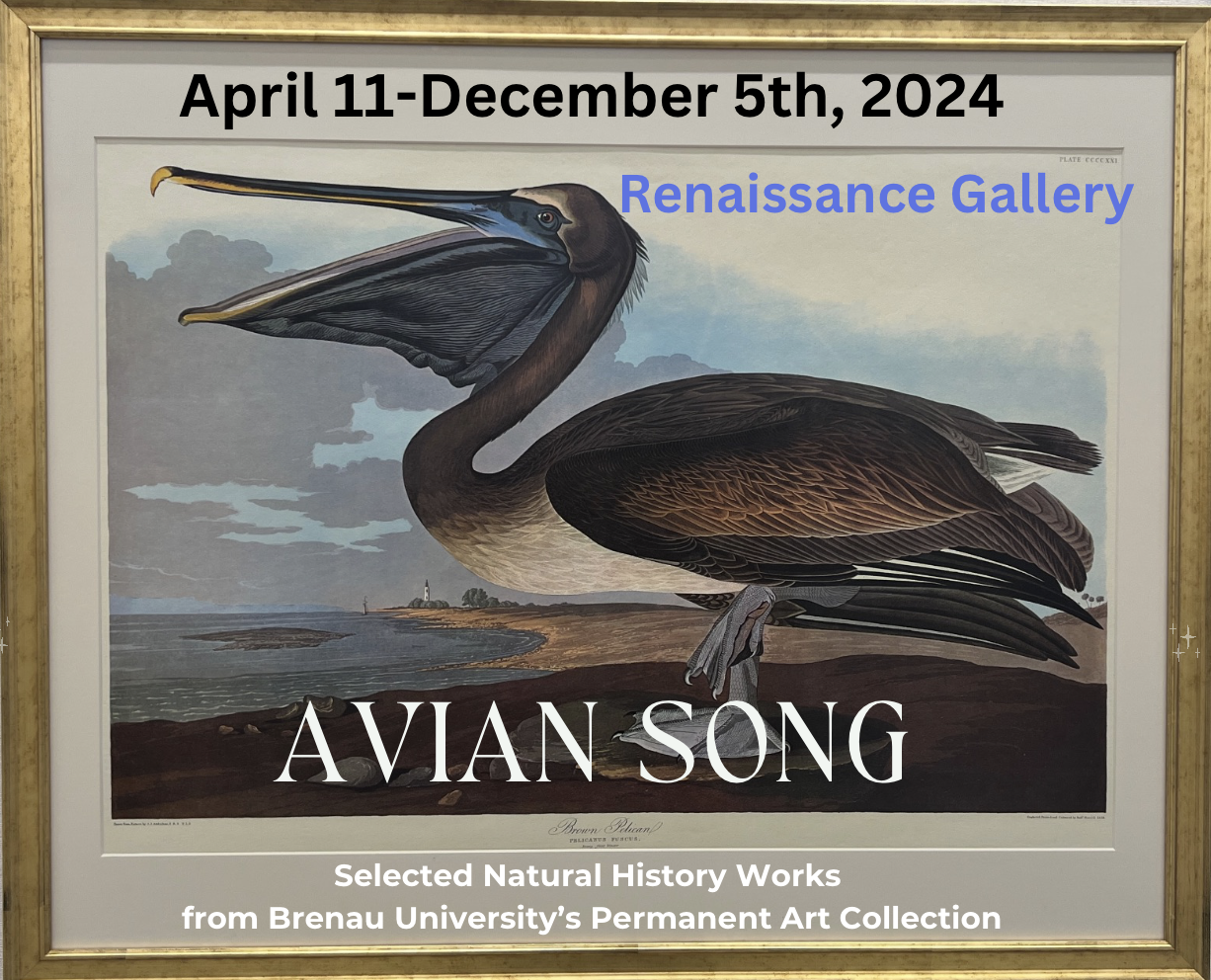 Avian Song: Natural History Works From Brenau University’s Permanent 