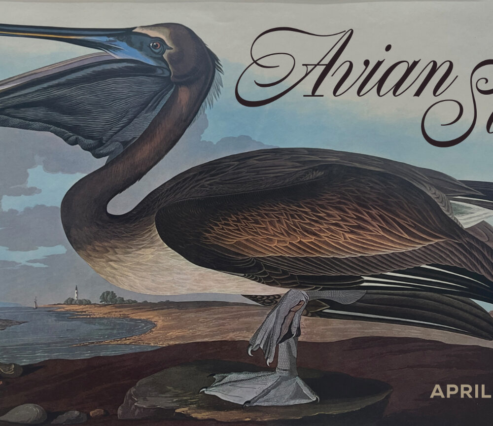 Avian Song, April 11 - Dec. 5