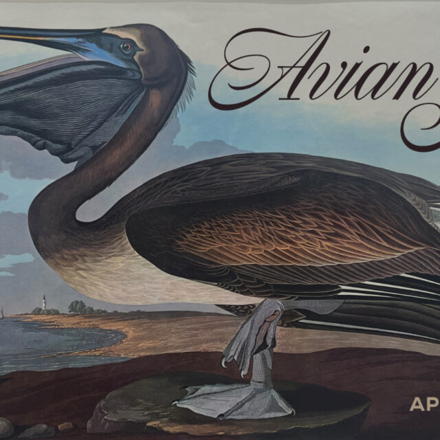 Avian Song, April 11 - Dec. 5