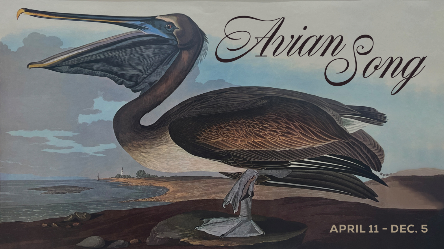 Avian Song, April 11 - Dec. 5