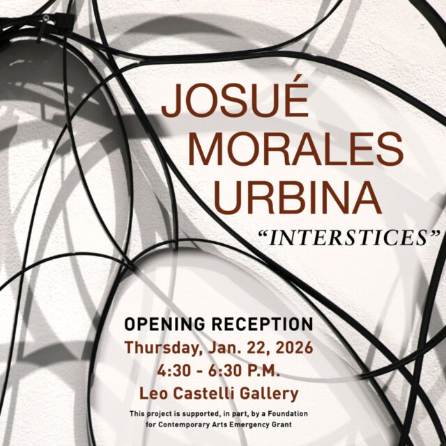 Josué Morales Urbina "Interstices" opening reception thursday, jan. 22, 4:30-6:30 p.m. Leo Castelli Gallery. This project is supported in part by a Foundation for Contemporary Arts grant